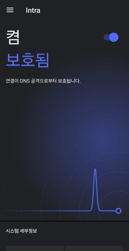 Intra 활성화 완료